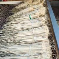 راهمنایی کنید