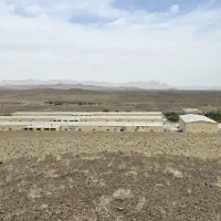 اجاره سالیانه مرغداری گوشتی 60000 قطعه ای