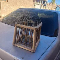 قفس|لوازم جانبی حیوانات|کرمان, |دیوار