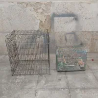 گل گیاه قفس پرنده کبوتر کاسکو قدیمی چاقو مینا|اسباب‌بازی بچه|شیراز, تندگویان|دیوار