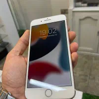 iphone 7plus 256gig|موبایل|رشت, بوسار|دیوار