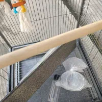 قفس بزرگ طوطی در حد نو|لوازم جانبی حیوانات|رباطکریم, رباطکریم|دیوار