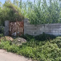 500متر زمین ساحلی با مدارک معتبر محصور