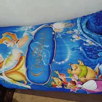 روتختی سیندرلا