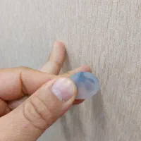 شجر قائنات