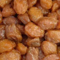 الو حاج حسنی افتابی