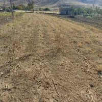 فروش زمین در روستای سیاوش آباد به متراژ ۵۰۰متر|فروش زمین و ملک کلنگی|ازنا, |دیوار