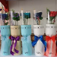 انواع گل روبانی