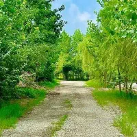 ویلا در آغوش طبیعت با دسترسی مستقیم به آب|فروش خانه و ویلا|میاندوآب, |دیوار