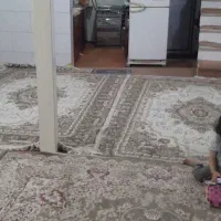 اجاره زیرزمین ۶۵متری واقع درشهرقائم کوچه ۱۹|اجارهٔ خانه و ویلا|قم, شهر قائم|دیوار