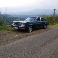 بیوک b3اتوماتیک مدل59|خودرو کلاسیک|فردیس, نگارستان|دیوار