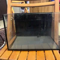 انواع اکواریوم