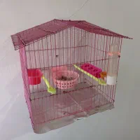 قفس پرنده|لوازم جانبی حیوانات|شیراز, گود خزینه|دیوار