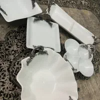 ظروف پذیرایی چینی