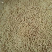 برنج هاشمی
