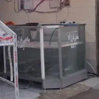 اکواریوم ماهی قزل الا زنده