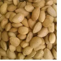 بادام ومویز درجه یک بشرط