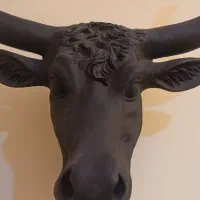 کله گاو دیواری تزئینی|مجسمه، تندیس، ماکت|مشهد, چهارچشمه|دیوار