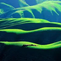 فیروزکوه / ۱۷ هکتار زمین / مناسب گردشگری