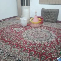 دان خوری اب خوری طیور