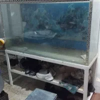 لوازم خانگی|مبلمان خانگی و میز عسلی|پاکدشت, پاکدشت (مامازند)|دیوار