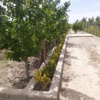 باغچه فنس کشیده شده بسیار زیبا