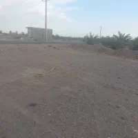 باغ خرما|فروش دفتر صنعتی، کشاورزی، تجاری|ریگان, |دیوار