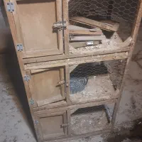 جفتگاه کبوتر