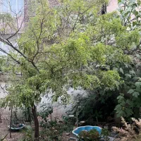 زرتشت غربی۱۵۰متر/۳خواب/۱۰۰متر حیاط اختصاصی|فروش آپارتمان|تهران, بلوار کشاورز|دیوار