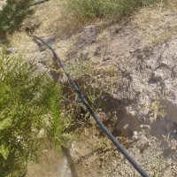 آبیاری تحت فشار،قطره ای بارانی|خدمات باغبانی و درختکاری|تبریز, |دیوار