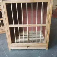 لانه کبوتر|لوازم جانبی حیوانات|قزوین, |دیوار