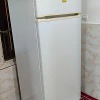 یخچال سالم مارک رگال