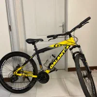 دوچرخه ۲۶ گالانت همراه با باربند حمل دوچرخه