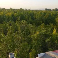 اجاره باغ ویلا تفریح .تولد،سالگردازدواج محمود آباد|اجارهٔ کوتاهمدت ویلا و باغ|ساوه, |دیوار