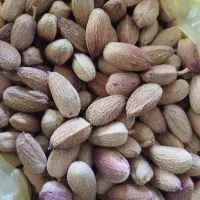 پسته کال مغز سبز