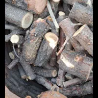 برش  چوب و درخت  با اره موتوری|خدمات باغبانی و درختکاری|نجف‌آباد, شیخ آباد|دیوار