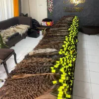 خریدار موی طبیعی با قیمت استثنایی