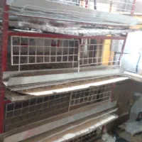 قفس بلدرچین|لوازم جانبی حیوانات|زنجان, |دیوار