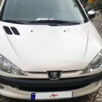 ۲۰۶ دوگانه کارخانه