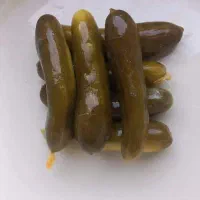 استخدام راننده آریسان /مزدا با ماشین