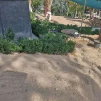 باغبانی و نگهداری گل وگیاه