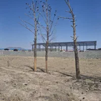 زمین مناسب برای سوله سازی و.