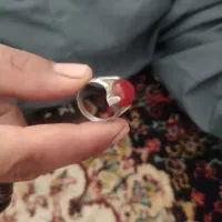 انگشتر|جواهرات|زابل, |دیوار