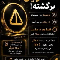 نات کوین برگشته .