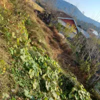 فروش زمین|فروش زمین و ملک کلنگی|اطاقور, |دیوار