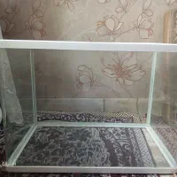آکواریوم با وسایل