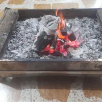 زغال درخت مرد