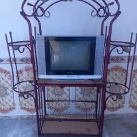 تلویزیون