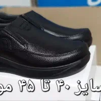 سینا، کار، مجلسی، دور دوخت، مشکی زیره فیبر|کیف، کفش، کمربند|نهاوند, |دیوار