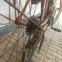 دوچرخه 26|دوچرخه، اسکیت، اسکوتر|آق قلا, |دیوار